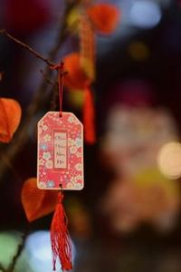 xì tố di động QH88